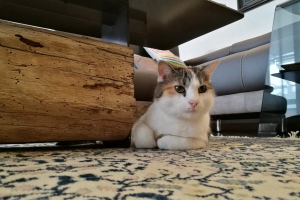 CASA K+D RISTRUTTURAZIONE