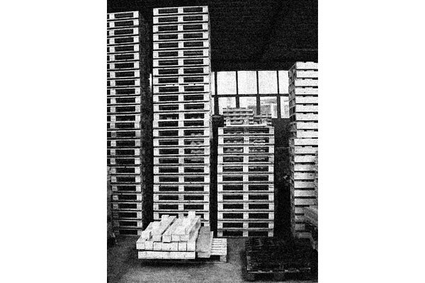 ALLESTIMENTO "MOSTRA CONCORSO EX TEATRO"