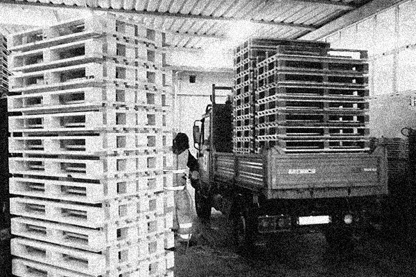 ALLESTIMENTO "MOSTRA CONCORSO EX TEATRO"