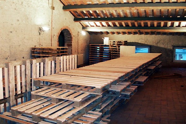 ALLESTIMENTO "MOSTRA CONCORSO EX TEATRO"