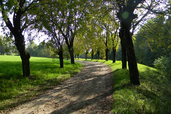 "SENZA SOVERCHI RIGUARDI"